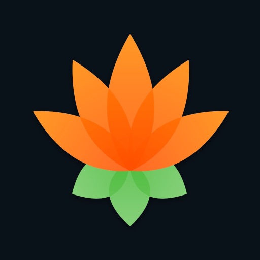 Lotus Chess – Treinos