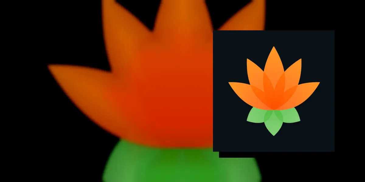 Lotus Chess – Treinos